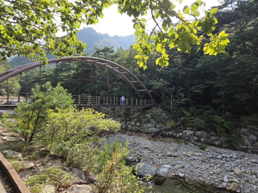 토박이식당 사진 5