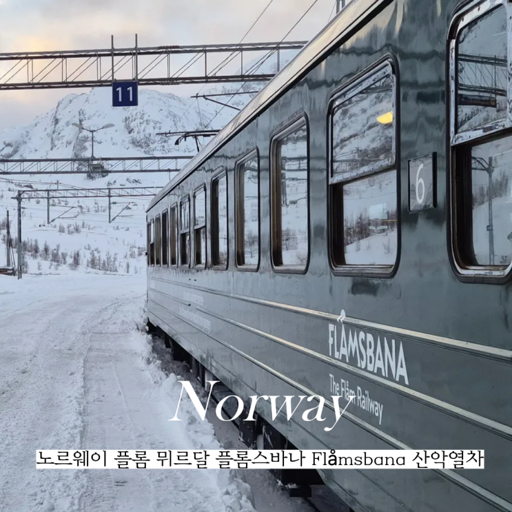  노르웨이 플롬 뮈르달 플롬스바나 Flåmsbana 산악열차 티켓 구매 탑승 후기