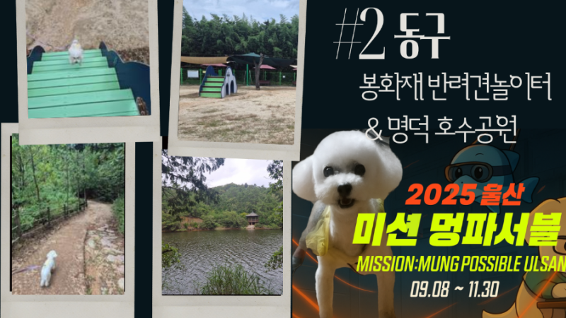 사진 4