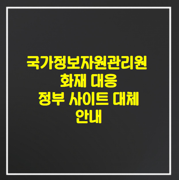  국가정보자원관리원 화재 서비스 차질 및 정부 대체 사이트 이용 안내