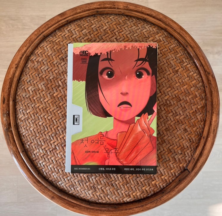  소설 첫 여름, 완주 서평