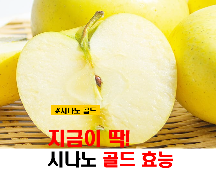 시나노골드 수확시기 효능 및 후숙
