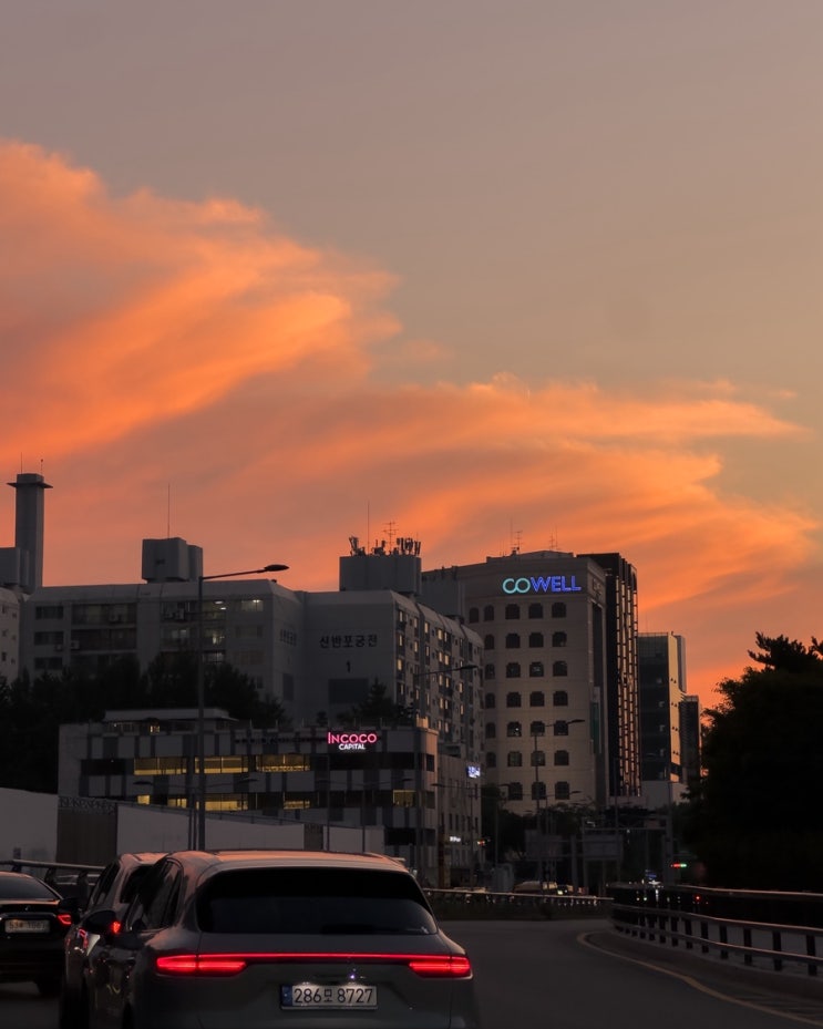  일상 기록 8. 볼가강의 배 끄는 인부들, 어쩔수가없다, 시대예보 경량문명의 탄생, 크라임씬 제로, 게미식당, 조선옥