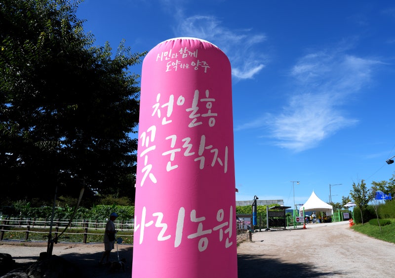 사진 2