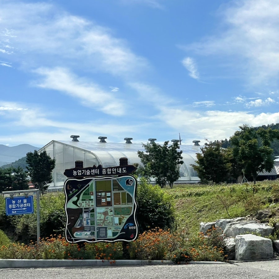 봉창이해물칼국수 사진 5