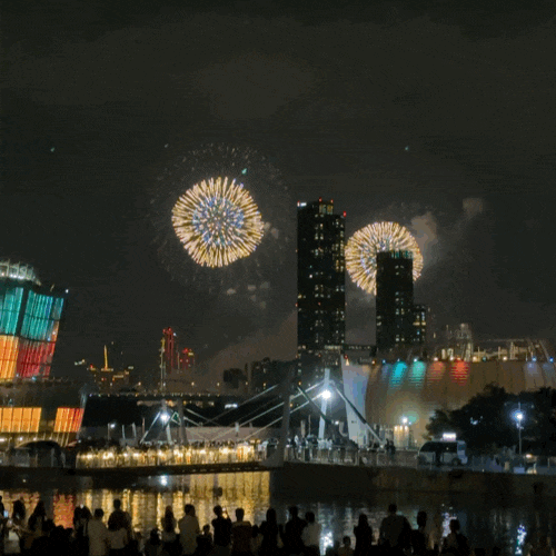 2025 세계불꽃축제 후기 in반포한강공원
