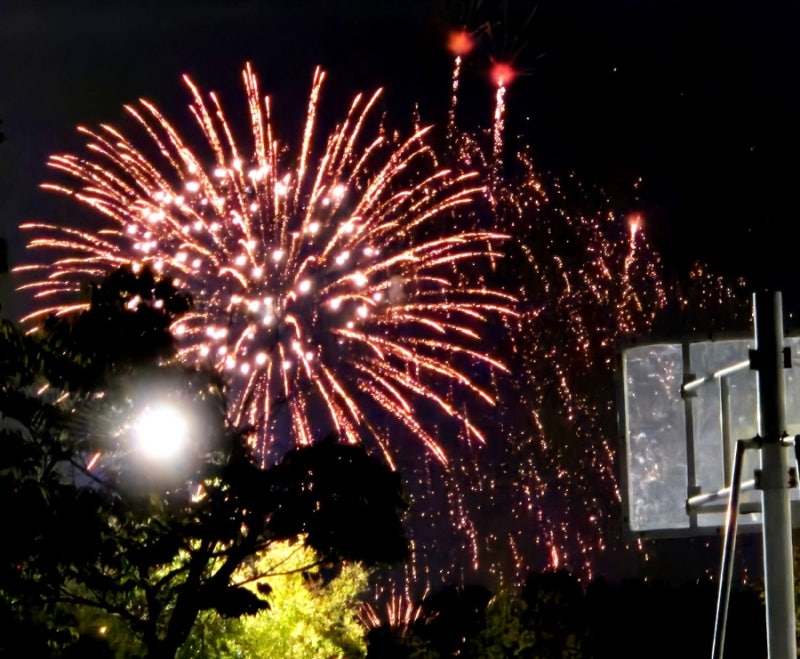 2025 서울 세계불꽃축제 이촌 한강공원 후기!