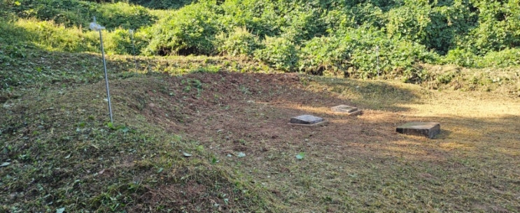  밀양시 상동면 고정리 평장묘 80평 벌초제초묘지복원대행+밭예초40평 예초대행("밀양벌초대행")