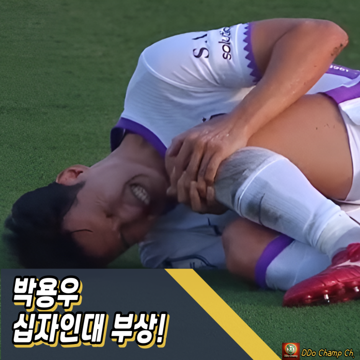 대한민국축구국가대표 : <b>박용우</b> 충격 이탈, 월드컵 앞두고 전력... 