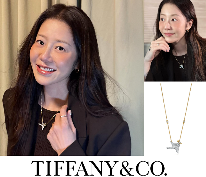  고현정 착용 고급진 티파니 신상 목걸이 추천