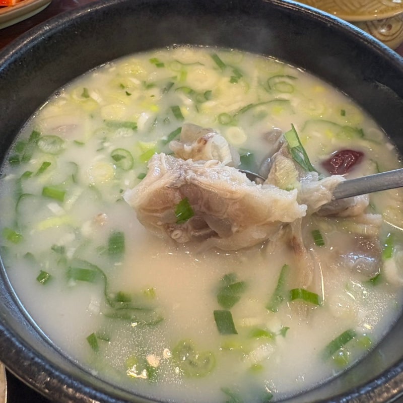 대구 두류동 맛집 푸주옥 도가니탕 설렁탕 찐맛집