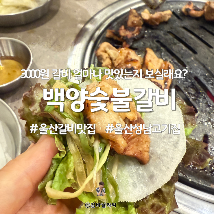  울산 중구 성남동 맛집 백양숯불갈비 갈비 3000원 가성비 고기집 밥집