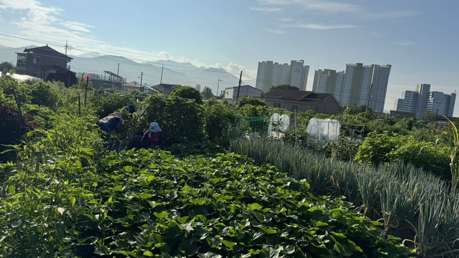 황금코다리 완주삼례점 사진 3