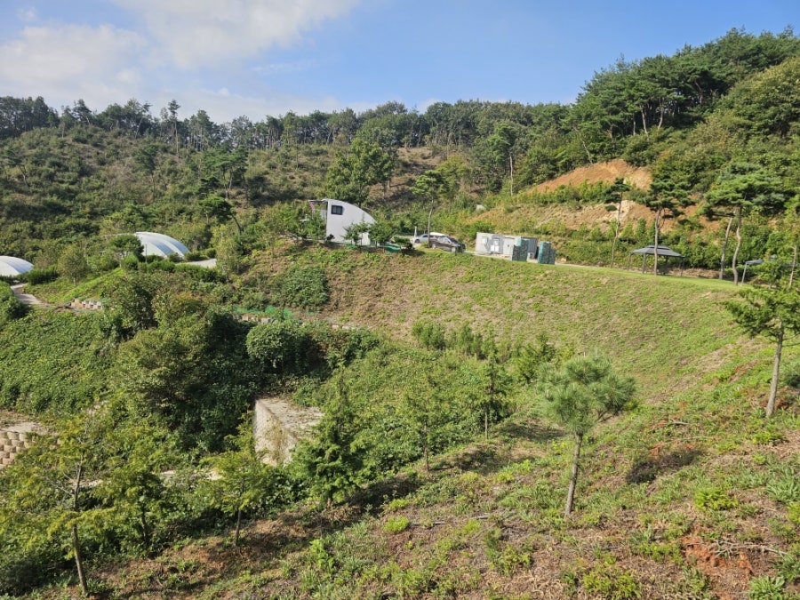 몰도바문화원 사진 3