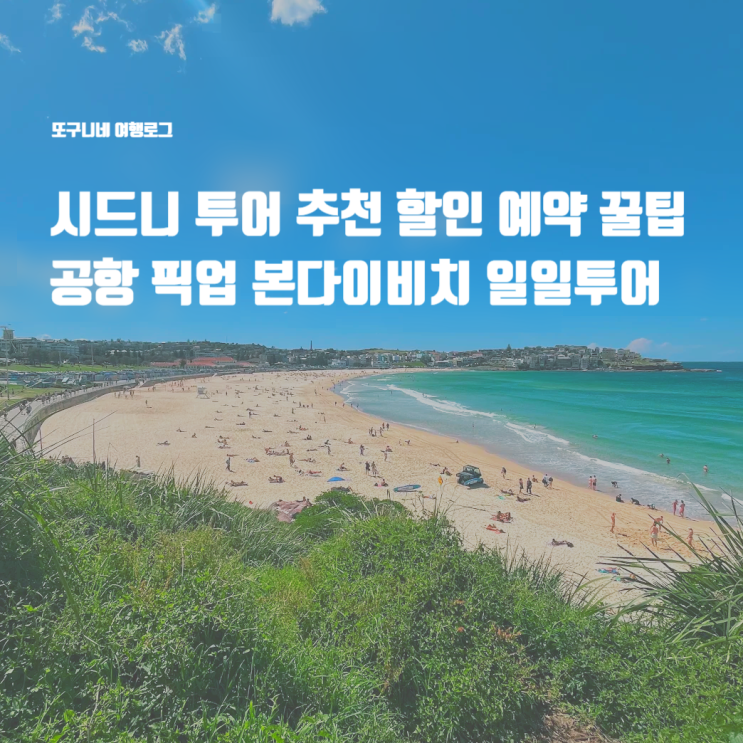  시드니 투어 추천 공항 픽업 본다이비치 일일투어 할인 예약 꿀팁 포함
