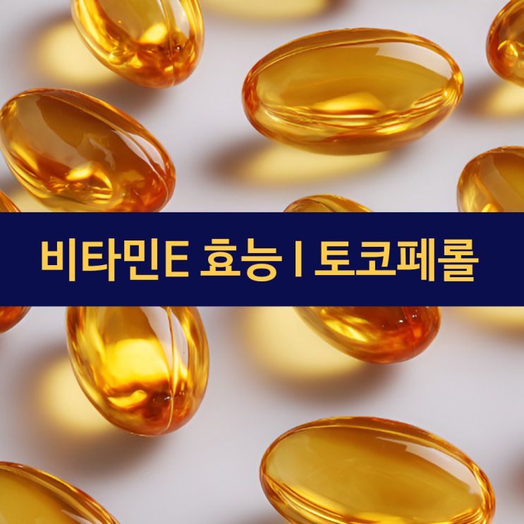  비타민E 효능 | 노화와 질병 예방의 핵심 영양소 토코페롤