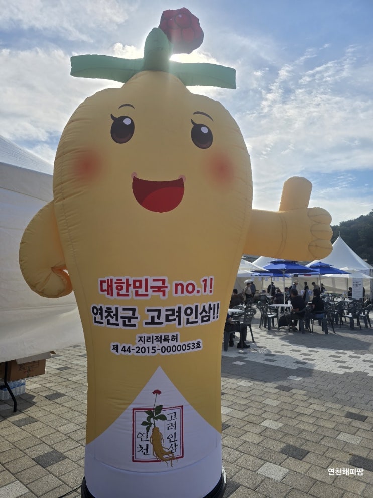  2025년 제7회 연천고려인삼축제 연천역 6년근 인삼 판매