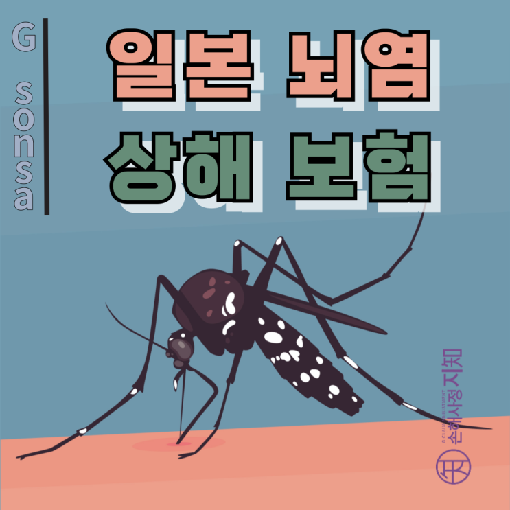  일본뇌염 바이러스, 모기 물려 생긴 건데 상해보험에서 왜 보장 안 되나요? - [조정례, BoDa]