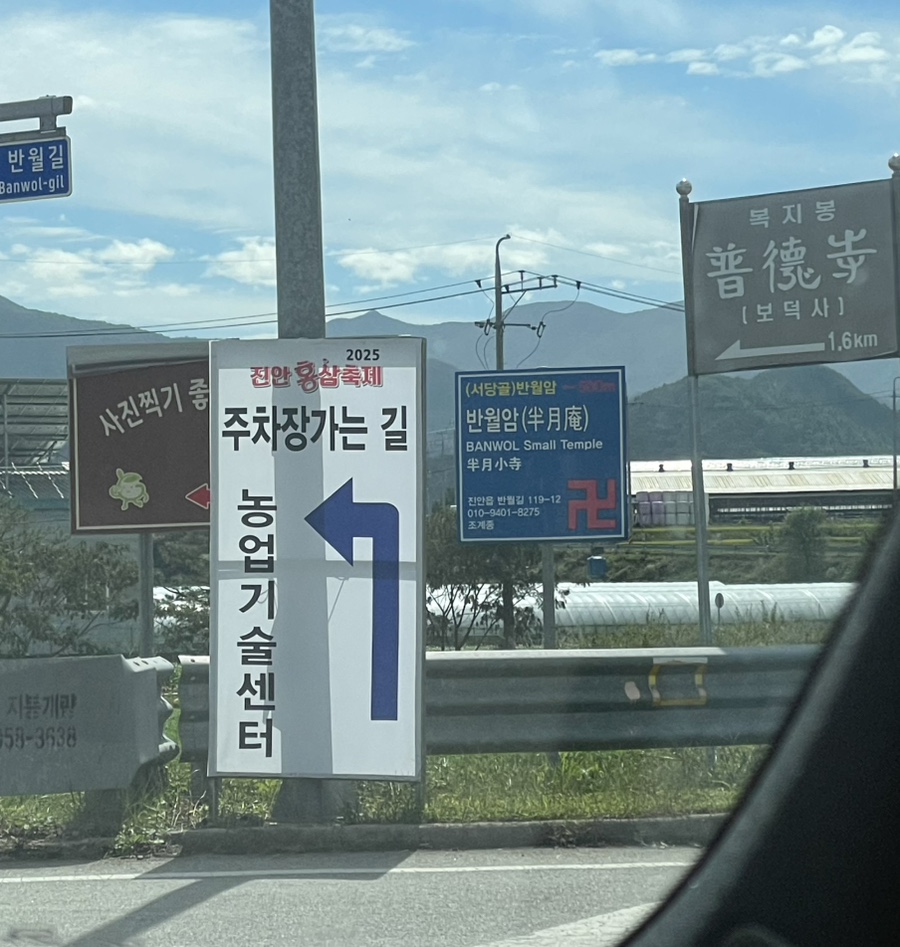 봉창이해물칼국수 사진 3