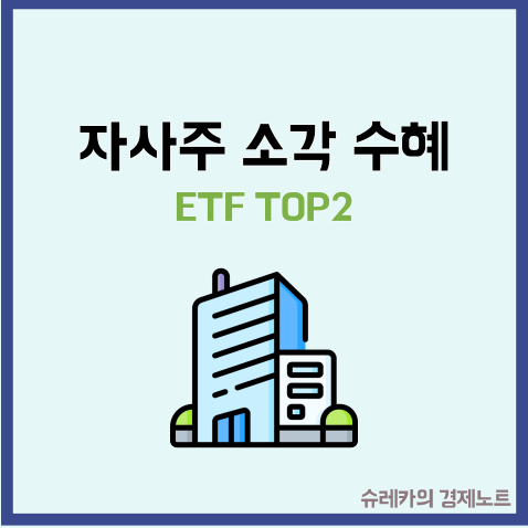  주주환원 자사주 소각 의무화 최대 수혜 받는 ETF TOP2