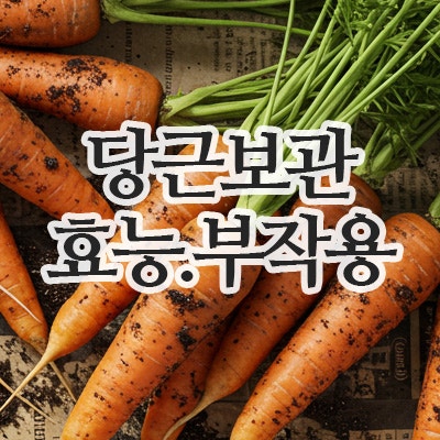  당근 오래 보관법과 삶은 당근 효능,부작용까지