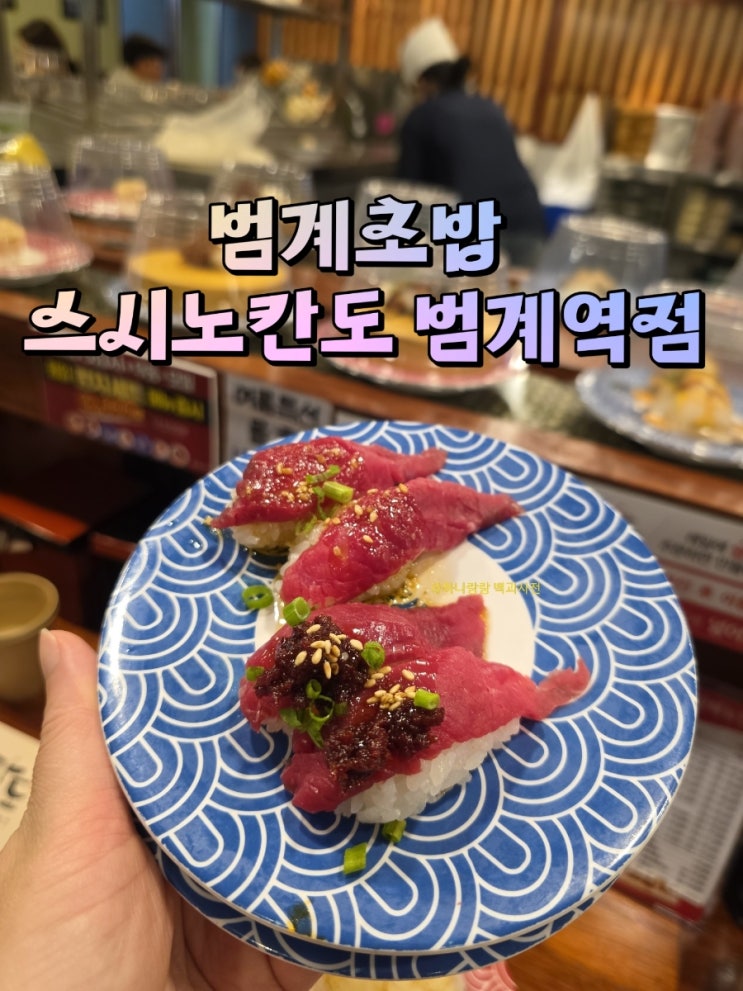 [경기 안양] 모든 메뉴 접시당 2200냥 범계초밥 스시노칸도 범계역점