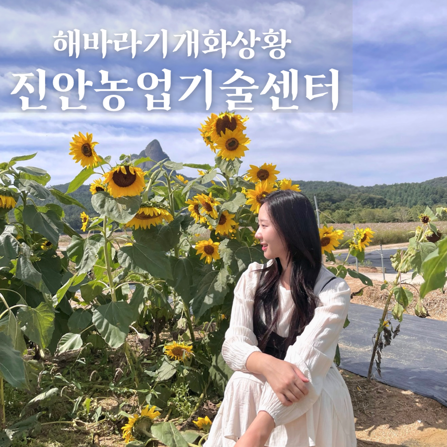 봉창이해물칼국수 사진 1