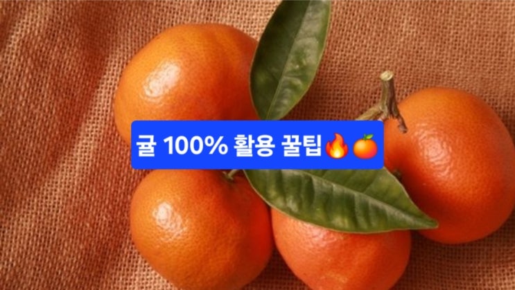  “하루 3개면 비타민C충전 끝!” 겨울 필수과일 귤 100% 활용 꿀팁/귤 고르는법/맛있게 먹는방법
