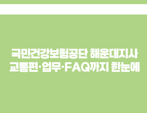 국민건강보험공단 해운대지사 교통편·업무·FAQ까지 한눈에