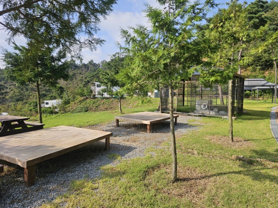 몰도바문화원 사진 4