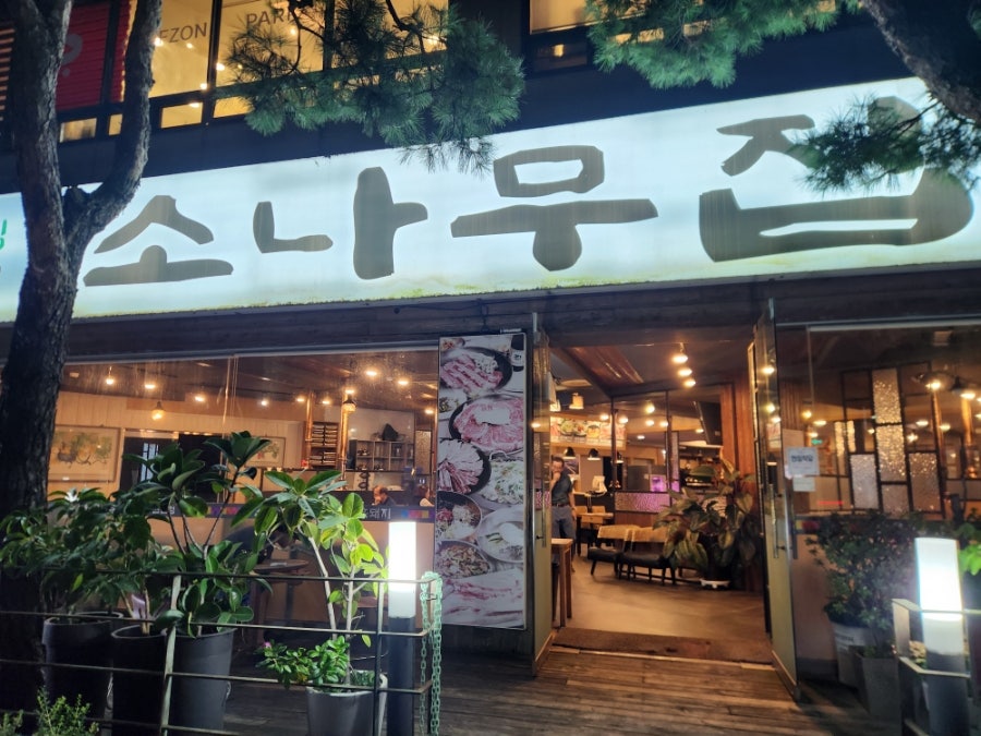 소나무집 사진 1
