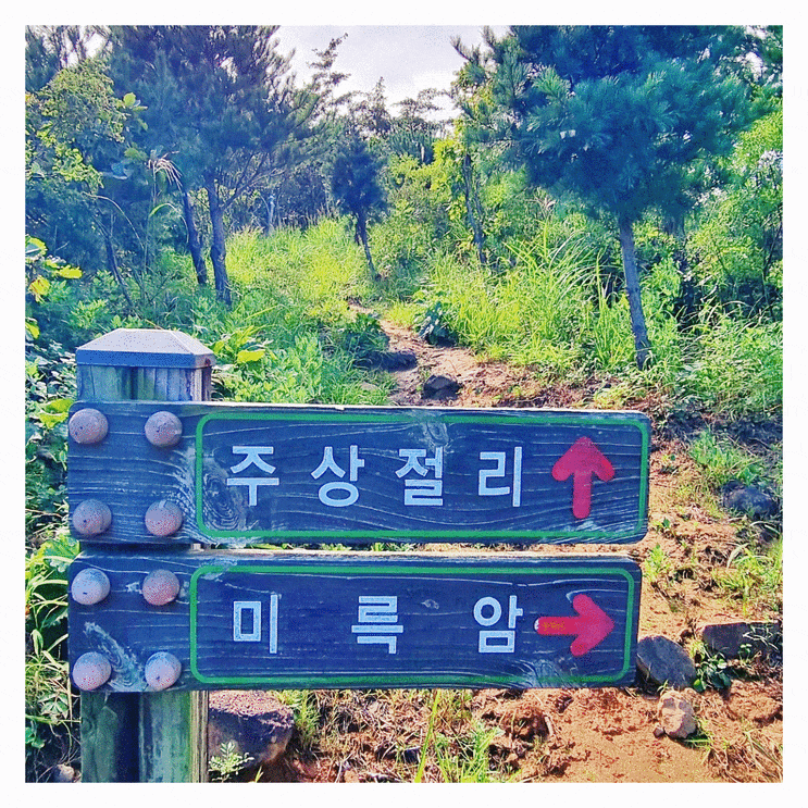  제주도 여행에서 만나는 숨겨진 자연 명소와 맛집 이야기