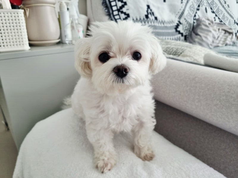 사진 7