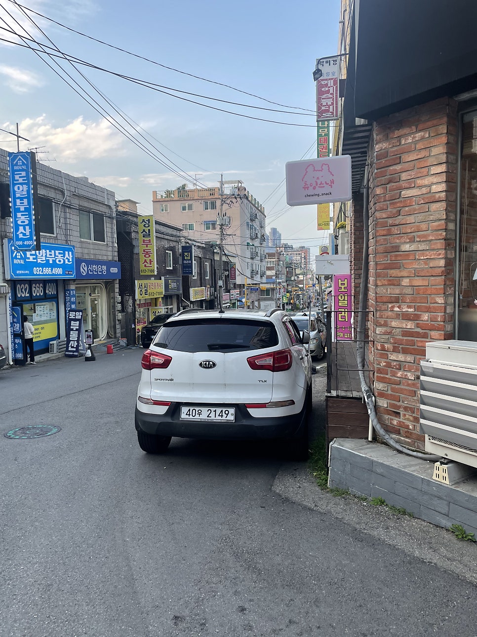 츄잉스낵 사진 3
