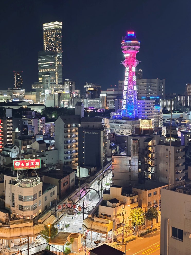  난카이난바, 울트라마켓 위스키 쇼핑, 히노데 호텔 닛폰바시의 특별한 밤