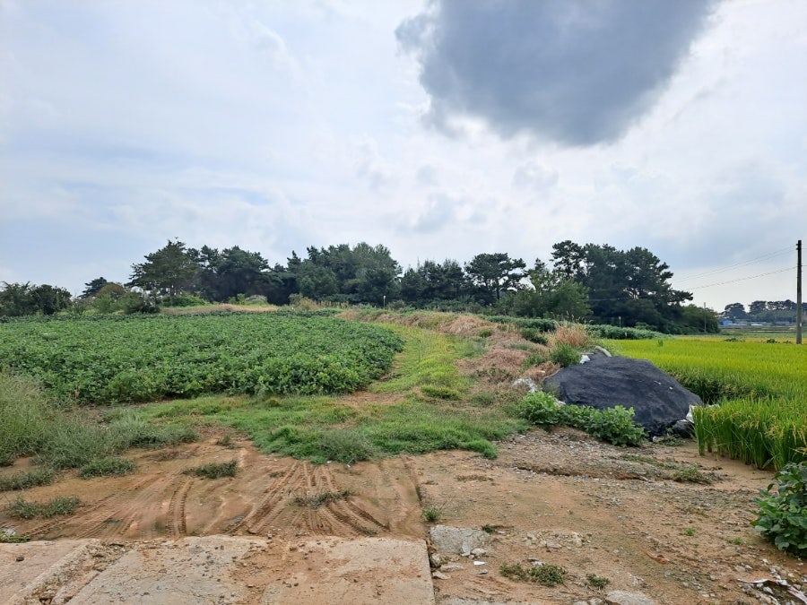 성덕산 사진 5