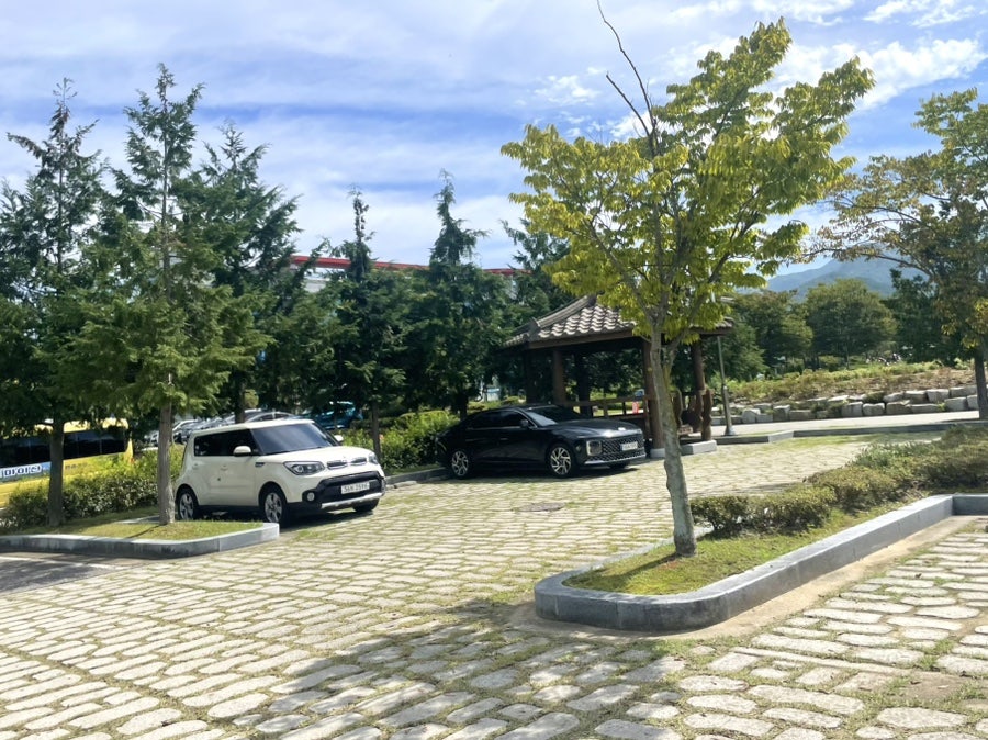 봉창이해물칼국수 사진 4