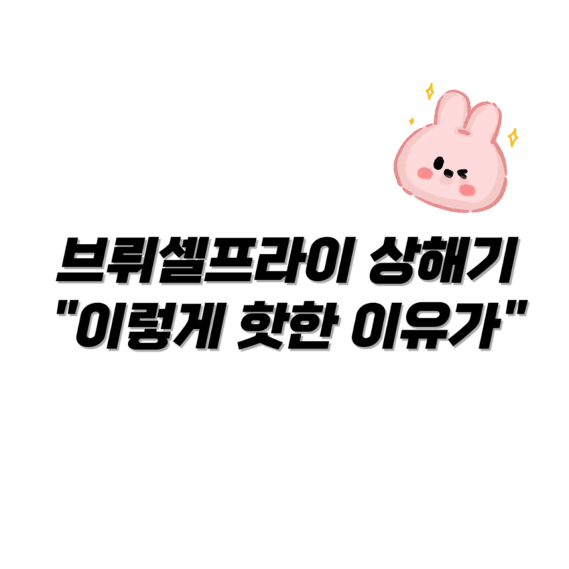 브뤼셀프라이 순천 유튜버 상해기 감자튀김 식당 총정리