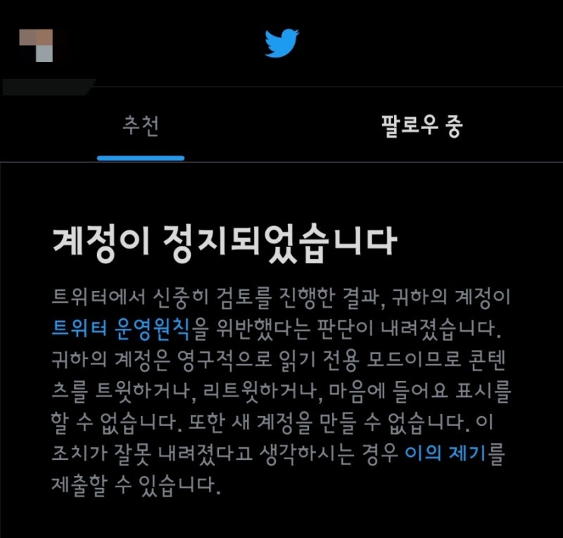 트위터(현 X) 계정 일시정지/영구정지 푸는법 경험자 찐후기 (부제: 유료결제가 정말 답일까?)