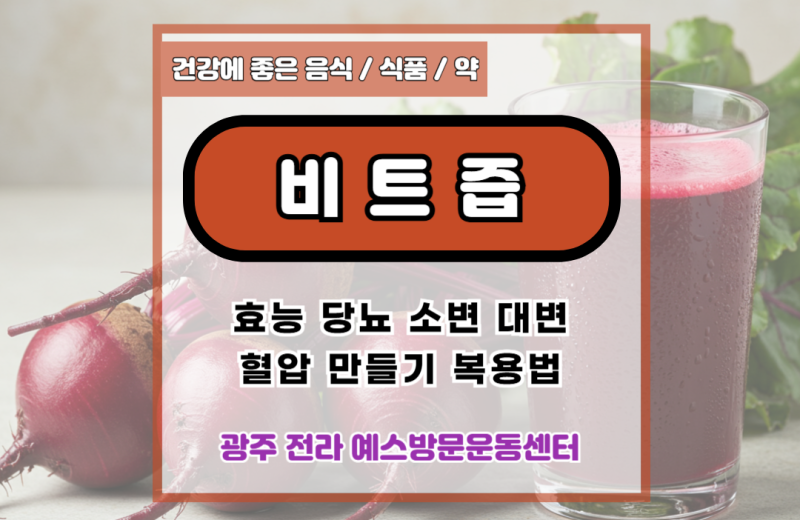비트즙 효능 당뇨 소변 대변 혈압 만들기 복용법