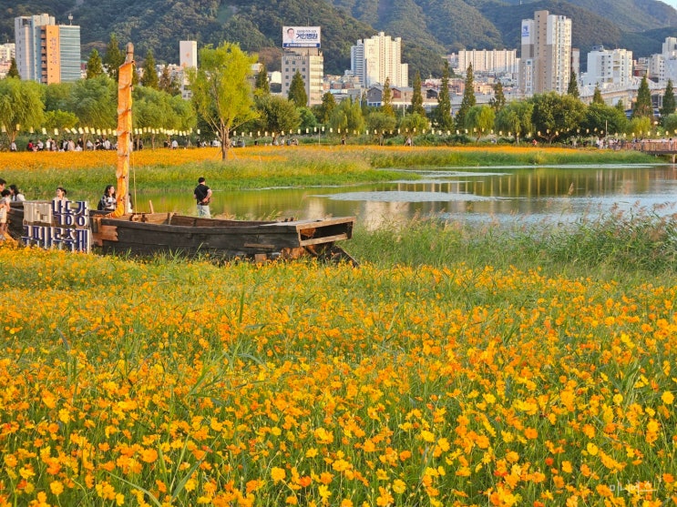 부산 화명생태공원 축제 별바다부산 나이트마켓