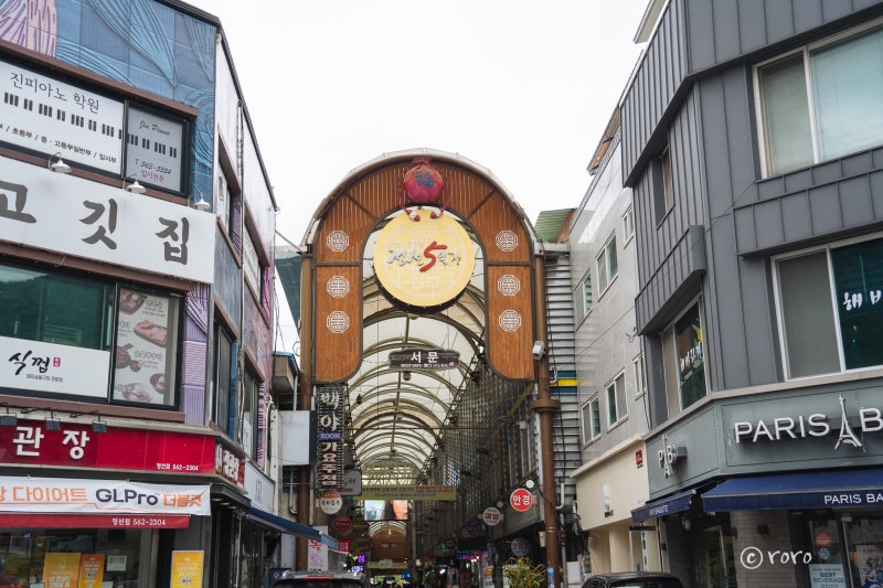 사진 5