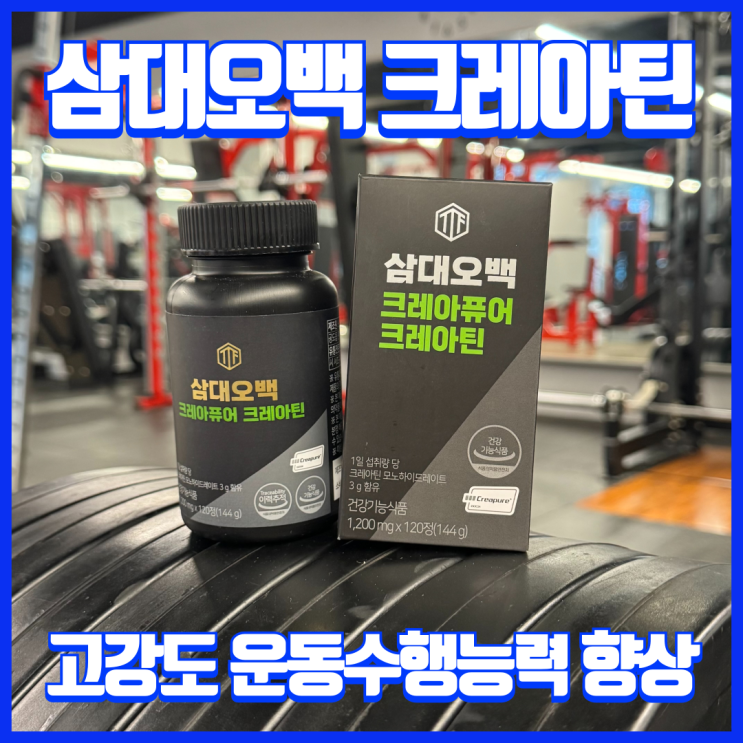  헬스 운동 수행능력 향상! 삼대오백 크레아틴 알약