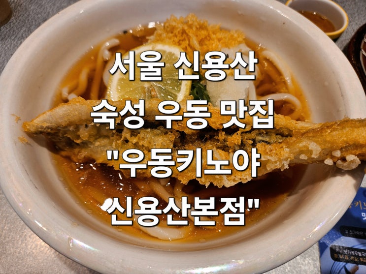  서울 신용산 48시간 숙성 생면 우동 바삭한 가츠산도 '우동키노야 신용산본점'