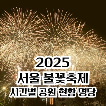 2025 여의도 불꽃놀이 이촌 한강공원 명당 불꽃위치 치킨 시간표 실시간 계속 업데이트
