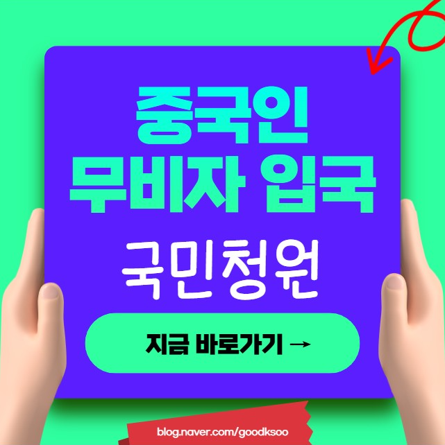 중국인 무비자 입국 반대 국민 청원 링크 득과 실은 무엇일까?