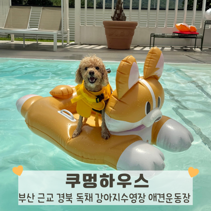 사진 4