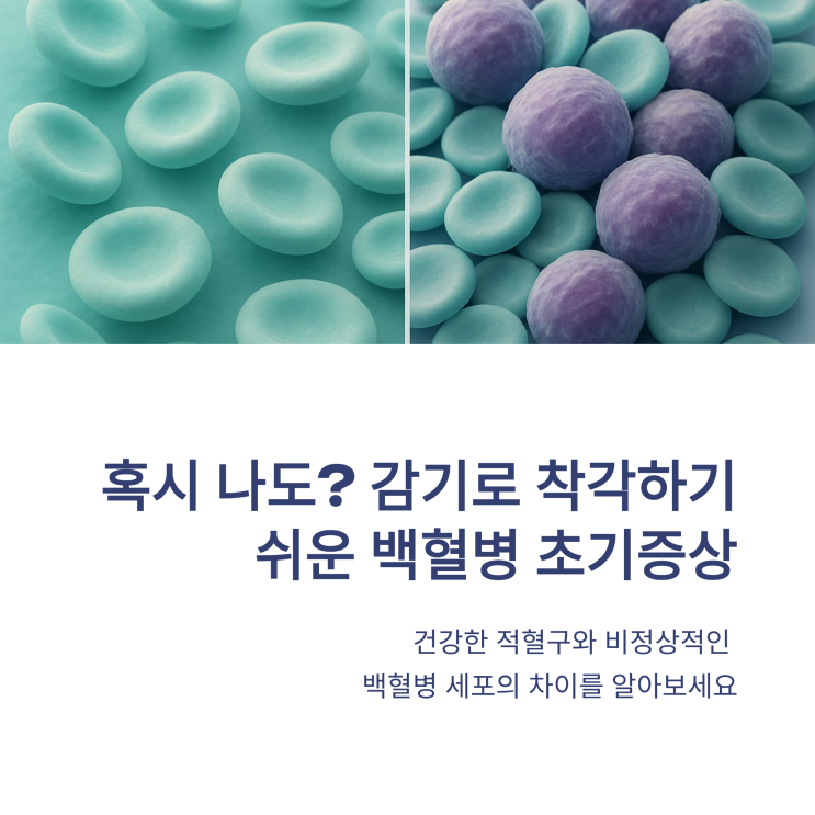  백혈병 초기증상, 혹시 감기로 착각하셨나요? 원인부터 최신 치료법까지 총정리