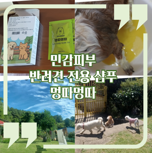 사진 7