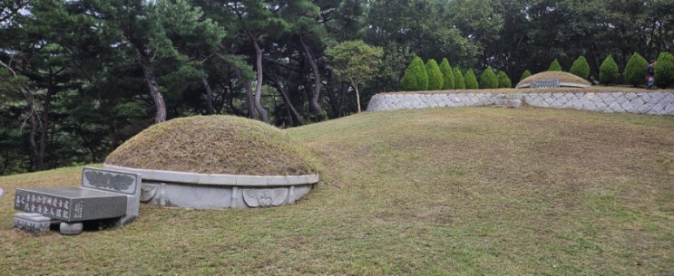  울산 신 두왕로 220 봉분2기 100평 벌초제초대행("울산벌초대행")